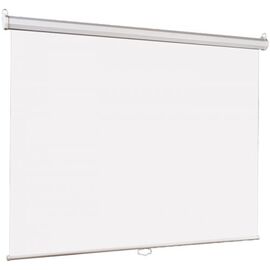  Проекционный экран Lumien Eco Picture (LEP-100114) Matte White 