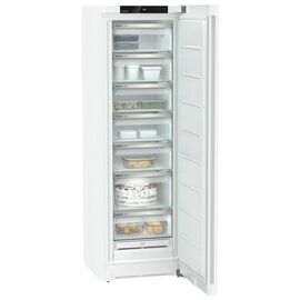  Морозильные камеры LIEBHERR FNe 5207-22 001 белый 