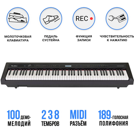  Цифровое пианино TESLER STZ-8800 Black 