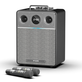  Портативная колонка W-King T6 black 