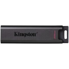  USB-флешка Kingston DataTraveler Type-C Max (DTMAX/256GB) 256Gb USB3.2 черный 