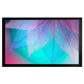  Экран на раме Cactus 124x220см FrameExpert CS-PSFRE-220X124 16:9 настенный натяжной 