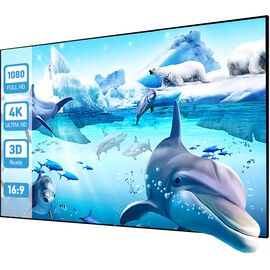  Экран на раме Cactus 127x224см Alr Expert CS-PSALRE-224X127-WM 16:9 настенный натяжной черный 