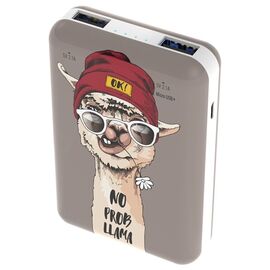  Внешний аккумулятор Ritmix RPB-10007 Lama 