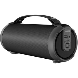  Колонка портативная Digma D-PS1520 черный/черный 