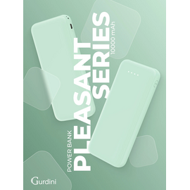  Внешний аккумулятор Gurdini Pleasant Series 10000mah Mint 