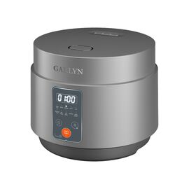  Мультиварка GARLYN MR-Solo 4 Pro 