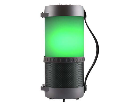  Портативная акустика Dialog Progressive AP-1010 