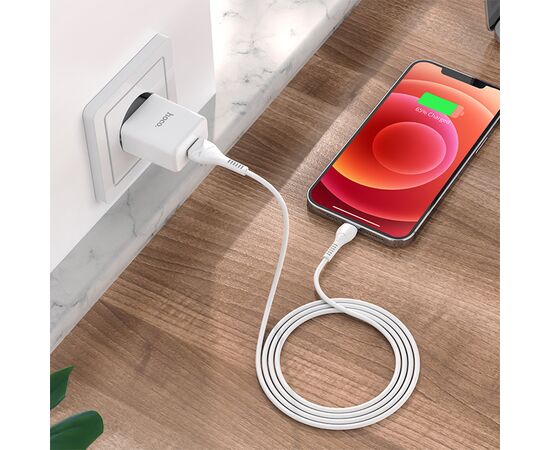  Сетевое зарядное устройство HOCO N9 Especial 1xUSB с Кабелем USB - Lightning, 2.1A, 10W, белый 