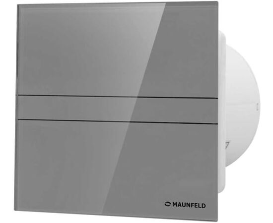  Вытяжной вентилятор MAUNFELD MFE12TGGR 