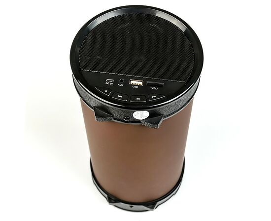  Портативная акустика Dialog Progressive AP-1000 (black/brown) (71506) 