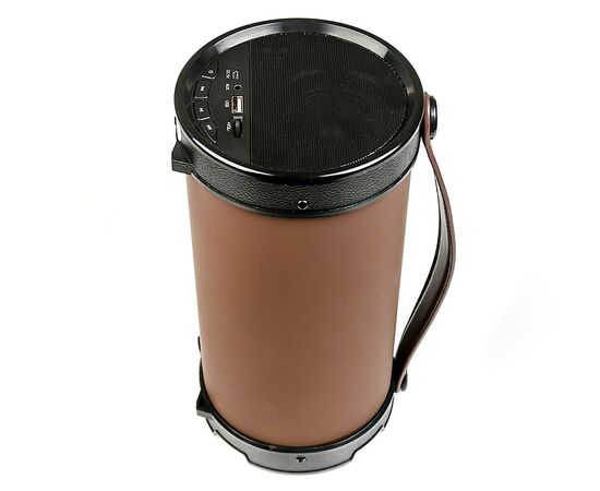  Портативная акустика Dialog Progressive AP-1000 (black/brown) (71506) 