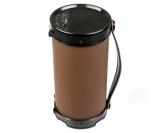  Портативная акустика Dialog Progressive AP-1000 (black/brown) (71506) 