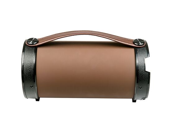  Портативная акустика Dialog Progressive AP-1000 (black/brown) (71506) 