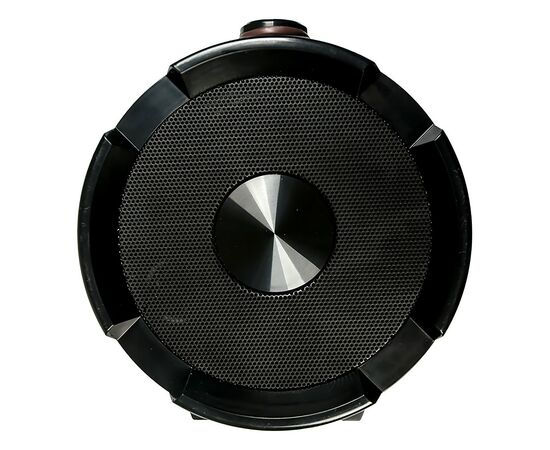  Портативная акустика Dialog Progressive AP-1000 (black/brown) (71506) 