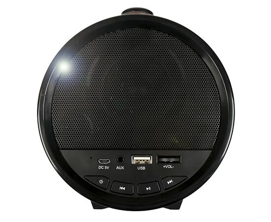  Портативная акустика Dialog Progressive AP-1000 (black/brown) (71506) 