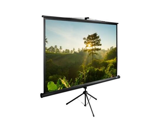  Экран Cactus 200x200см TriExpert CS-PSTE-200x200-BK 1:1 напольный рулонный черный 