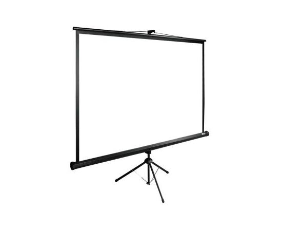  Экран Cactus 200x200см TriExpert CS-PSTE-200x200-BK 1:1 напольный рулонный черный 