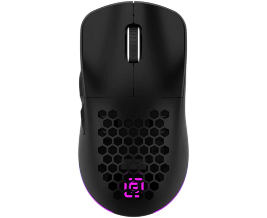  Мышь OKLICK 900GMW черный 