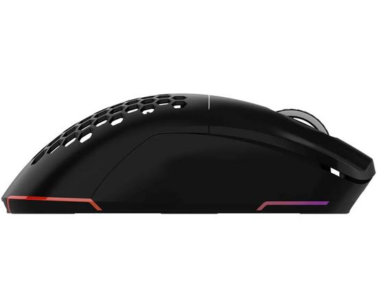  Мышь OKLICK 900GMW черный 