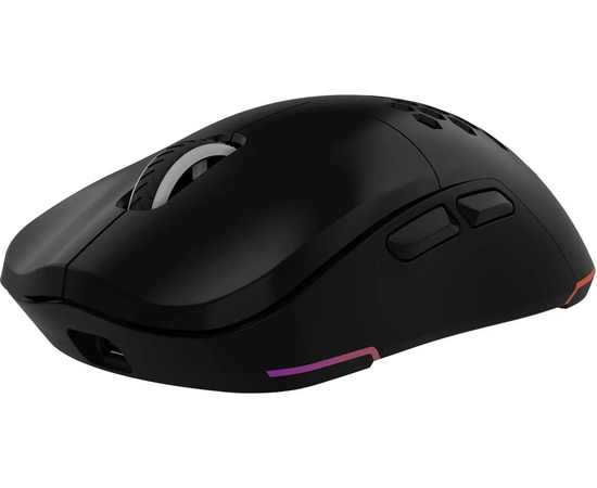  Мышь OKLICK 900GMW черный 