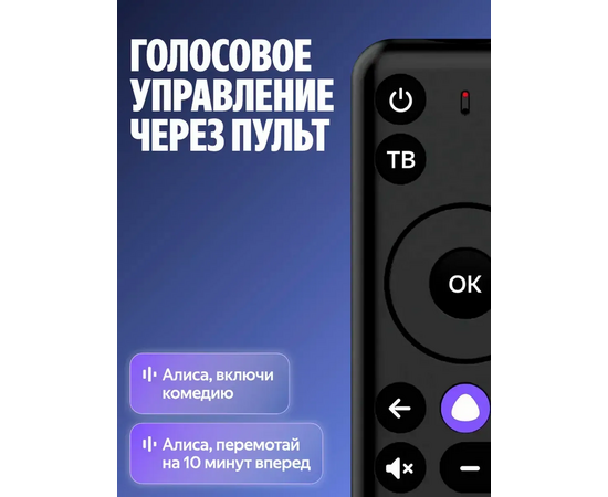  Телевизор Razz 43 дюйма W43FSY25F Full HD Smart с Алисой WiFi 