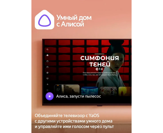  Телевизор Razz 43 дюйма W43FSY25F Full HD Smart с Алисой WiFi 